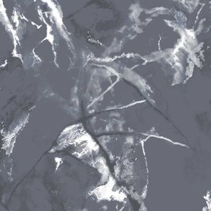 Meet your Posher, Destiny